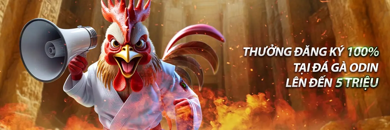 Ứng dụng 8nohu trên điện thoại di động