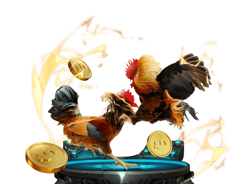 Các chương trình khuyến mãi và lợi ích VIP tại 8nohu